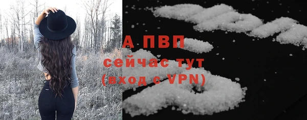 твердый Осинники