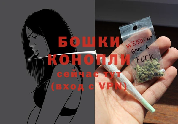 твердый Осинники