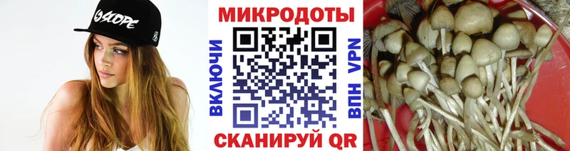 МЕГА ТОР  Инсар  Галлюциногенные грибы Cubensis 